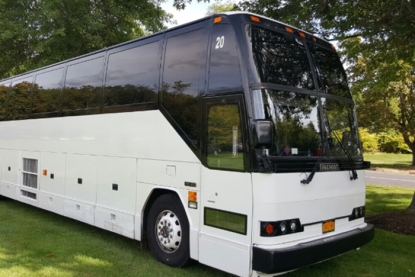 50 Passenger Luxury Party Bus